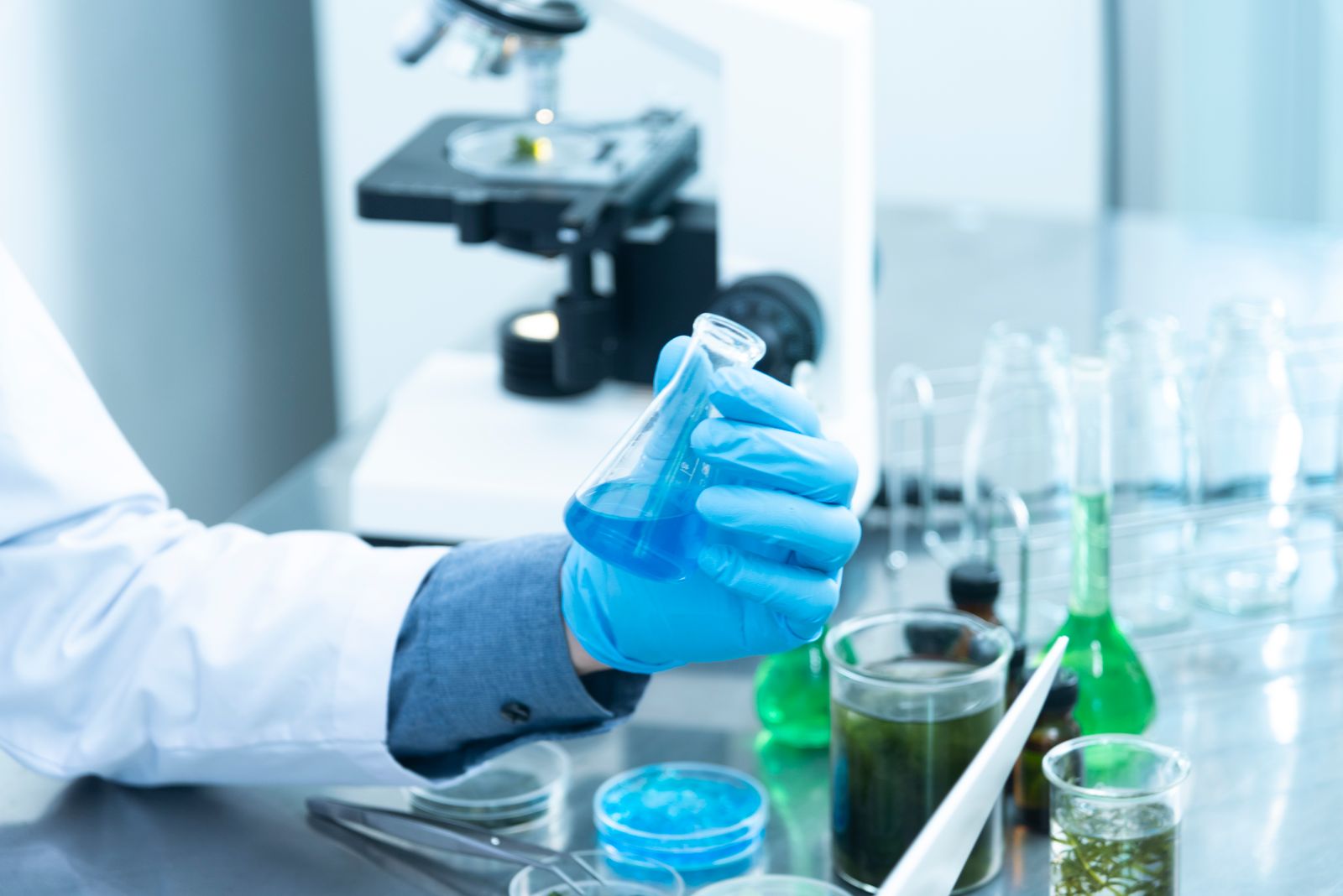 Model portrayal