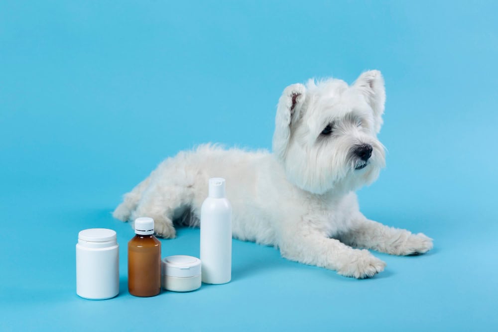 Pet-safe benzoyl peroxide cleanser for dogs with skin issues