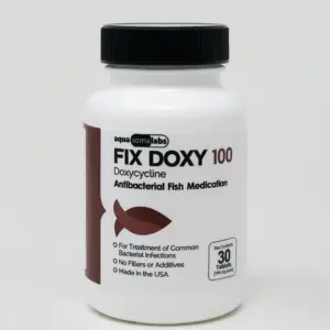 Benefits of Doxycycline in Fish Care