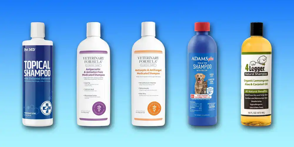 Medicated Shampoos for Pets