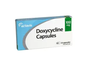 Doxycycline for Rat Health
