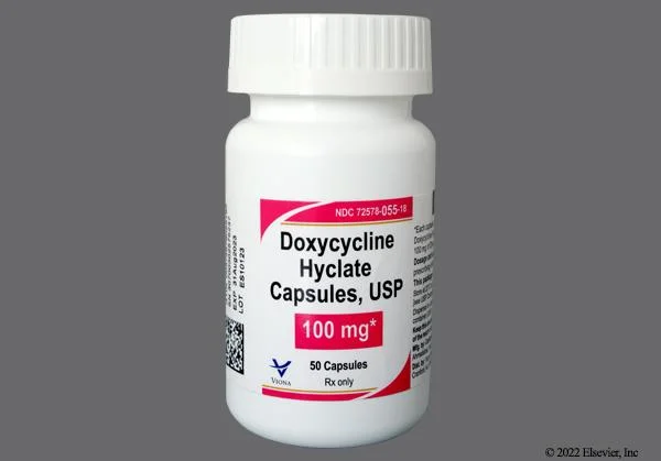 Essential Guide to Buying Doxycycline for Dogs