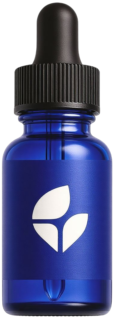 ChatGPT Image Nov 23 2025 10 02 09 PM a2b54dc8 d6c6 4989 863f 2a49e4bafb67 Photoroom e1765512284268